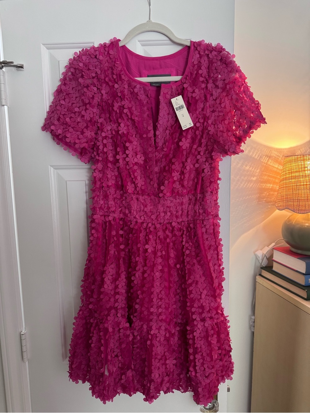 Anthropologie | Hot Pink Floral Appliqué Dress